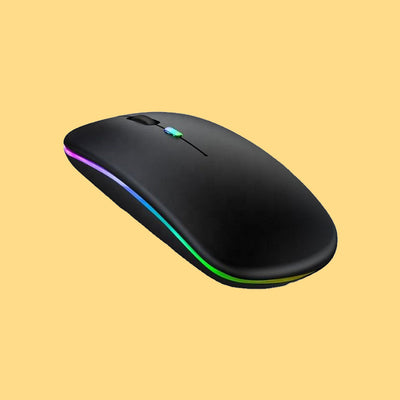 Computer Accessories