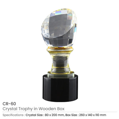 Crystal Glass Trophy in Wooden Box