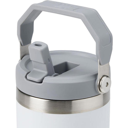 Double Wall Stainless Steel Tumblers with Handle & Straw – 900ml